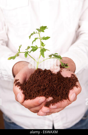 Mani pianta spuntano dal suolo Foto Stock
