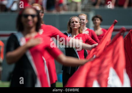 Raleigh, North Carolina, Stati Uniti d'America. Il 30 agosto, 2014. I membri del North Carolina State Marching Band bandiera corps preforma prima del sabato della partita contro contro la Georgia meridionale. Il Wolfpack sconfitto il Eagles, 24-23. Credito: Timothy L. Hale/ZUMA filo/ZUMAPRESS.com/Alamy Live News Foto Stock