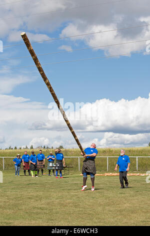 Calgary, Alberta, Canada. Il 30 agosto, 2014. Concorrente lancia una caber durante la Calgary Giochi delle Highland, Calgary, Alberta, Canada sabato il 30 agosto 2014. La Calgary giochi sono una lunga tradizione, andando nel loro secondo secolo di quest'anno. Credito: Rosanne Tackaberry/Alamy Live News Foto Stock