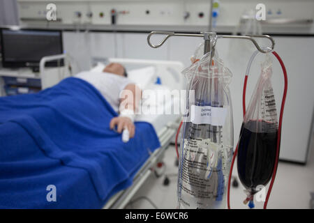 Metiman simulatore medico Foto Stock