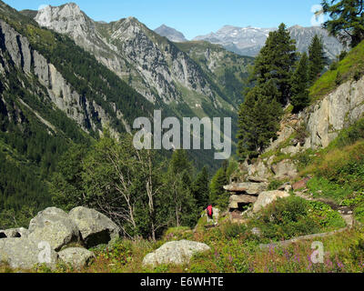 Scendendo a Chalet du glacier buvette da Fenetre d'Arpette, Svizzera Foto Stock