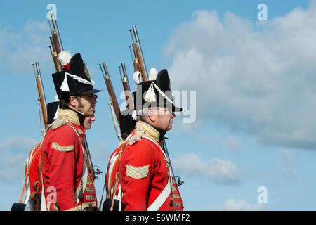 Xliv East Essex reggimento di piede. Reggimento di Fanteria dell'Esercito britannico ad una rievocazione storica. Detling, Kent, Regno Unito Foto Stock