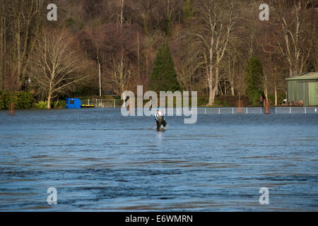 Le gravi inondazioni in Henley Dopo forti piogge ha causato il fiume Tamigi livelli di acqua al luogo dove: Henley, Regno Unito quando: 09 Feb 2014 Foto Stock