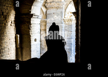 L'Europa, Francia, Bouches du Rhone, Arles. Costume day festival. Arles in arena. Foto Stock