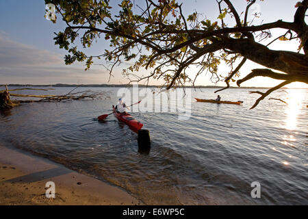 Persone con kayak sulla riva del sole, Schlei, Schleswig-Holstein, Germania, Europa Foto Stock