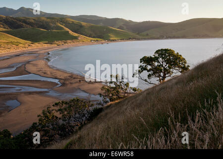 Vista su tutta la baia di Port Jackson, Penisola di Coromandel, Isola del nord, Nuova Zelanda Foto Stock