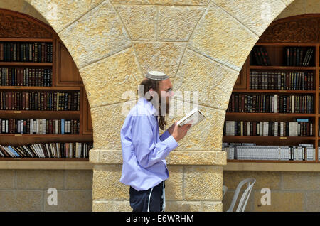 Ebreo legge la Torah vicino la Torah arca presso il Muro del Pianto, Gerusalemme, Israele Foto Stock