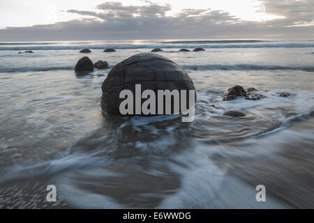 Moeraki Boulders, grandi concrezioni di forma sferica, sfera di pietra, Otago, Isola del Sud, Nuova Zelanda Foto Stock