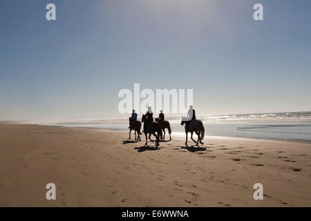 Equitazione, ginnastica mattutina lungo una spiaggia deserta, Christchurch, Isola del Sud, Nuova Zelanda Foto Stock