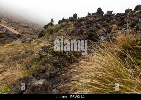 Trek attraverso il terreno vulcanico, Tongariro Alpine Crossing, grande camminata, parco nazionale di Tongariro, Patrimonio Mondiale, Isola del nord, nuovo Foto Stock