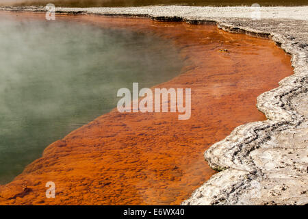 Pool di Champagne, Waio-tapu il cratere del lago, area geotermale vicino a Rotorua, Isola del nord, Nuova Zelanda Foto Stock