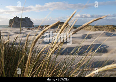 Onda-come dune di sabbia a Wharariki Beach, Isola del Sud, Nuova Zelanda Foto Stock