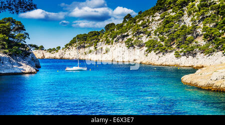 Calanques di Port pin in Cassis in Francia nei pressi di Marsiglia Foto Stock