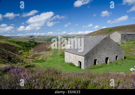 Grinton puzzava mulino in Swaledale Foto Stock