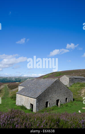 Grinton puzzava mulino in Swaledale Foto Stock