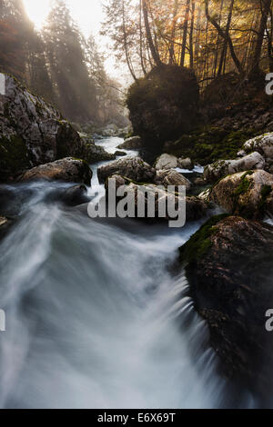 I raggi del sole penetrano attraverso la nebbia di mattina sul fiume Savica e le rocce nel letto di ruscello, Gorenjska, Slovenia Foto Stock