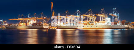 Crepuscolo sopra il porto di Rotterdam con due grandi navi portacontainer in primo piano, South Holland, Paesi Bassi Foto Stock