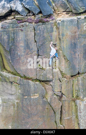 L'uomo salire la vacca e vitello di roccia su Ilkley Moor West Yorkshire, Regno Unito Foto Stock