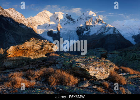 Ultima luce del sole sulle cime della Valle Roseg, da sinistra a destra è possibile vedere il Piz Morteratsch (3751 m), il Piz Bernina (4048 m), il Piz S Foto Stock