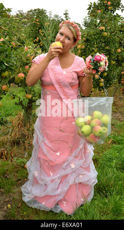 Schmergow, Germania. 01 Sep, 2014. La recitazione tree blossoom regina, Franziska barche, un bit in un Apple del tipo 'Pirella -, all'inizio del raccolto dei frutti di pomacee in Schmergow, Germania, 01 settembre 2014. La frutticoltura azienda 'Maerkische Obstbau GmbH Schmergow' è crescente 31 diversi tipi di mele su 78 ettari di azienda agricola di grandi dimensioni. Foto: Bernd Settnik/dpa/Alamy Live News Foto Stock