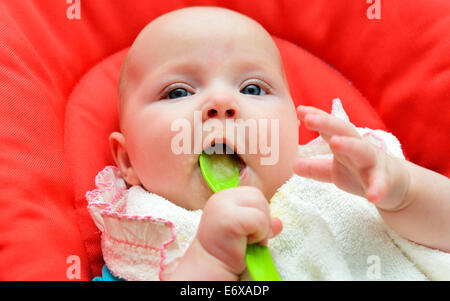 Baby, ragazza, sei mesi, alimentati con cibo per neonati, Germania Foto Stock