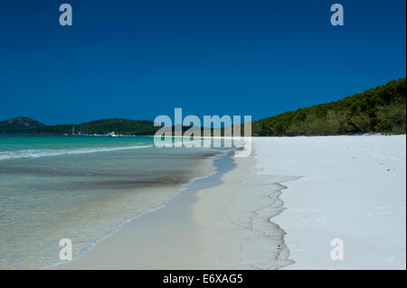 Whitehaven Beach, Isole Whitsunday, Queensland, Australia Foto Stock