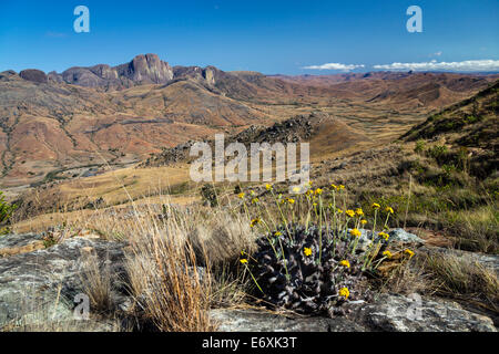 Valle Tsaranoro, highlands, a sud del Madagascar, Africa Foto Stock