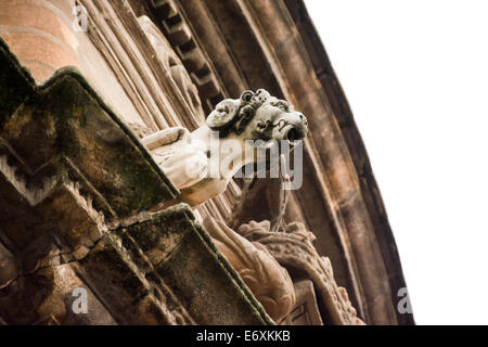 Close-up di una pietra scolpita gargoyle sull'esterno della Cattedrale di Siviglia, Spagna Foto Stock