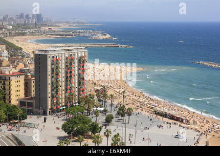 Vista aerea della spiaggia di Barceloneta a Barcellona. Foto Stock