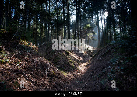 Argonne Forest WW1 Hill 285 - Meuse-Argonne sito sul campo di battaglia, Francia. Marzo 2014 miniera crateri e trincee sulla collina 285-Cote 285, Foto Stock