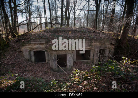 Argonne Forest WW1 Meuse-Argonne sito sul campo di battaglia, Abri du Kronprinz, Francia. Marzo 2014 Il bunker in Argonne legni utilizzati b Foto Stock