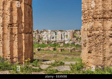 Vista dal tempio di Hera Tempio (E) al tempio di Athena Tempio (F), Selinunte, Sicilia, Italia, Europa Foto Stock