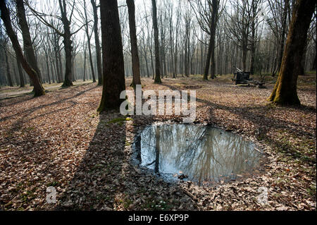 La battaglia di Bosco Belleau WW1,a nord di Chateau-Thierry solo 60 km da Parigi, Francia. Marzo 2014 Foto Stock