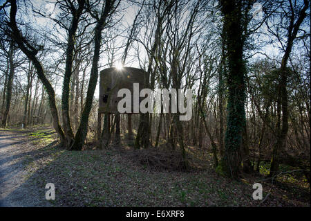 Verdun WW1 sito sul campo di battaglia di Verdun-sur-Meuse, Francia. Marzo 2014 un water tower con shell e fori di proiettile sul bordo della V Foto Stock