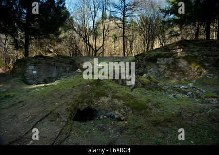 Verdun WW1 sito sul campo di battaglia di Verdun-sur-Meuse, Francia. Marzo 2014 resti di un bunker utilizzato per la fanteria prima di andare in battaglia Foto Stock