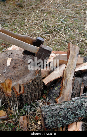 Due assi in un ceppo con i registri di split sparsi sul terreno. Foto Stock