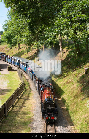 Ravenglass & Eskdale treno a vapore "Ratty' passando attraverso la stazione di verde, Eskdale green, Cumbria, Inghilterra, Regno Unito. Foto Stock