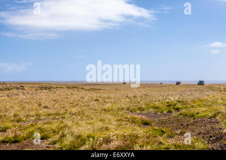 Safari 4X4 nelle isole Falkland. Da Port Stanley a nord stagno su East Falkland. Foto Stock