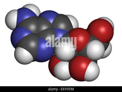 L'adenosina (Ado) nucleoside di purina molecola. Componente importante di ATP, ADP, cAMP e RNA. Anche utilizzato come farmaco. Gli atomi sono di rappresentanza ha Foto Stock