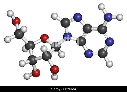 L'adenosina (Ado) nucleoside di purina molecola. Componente importante di ATP, ADP, cAMP e RNA. Anche utilizzato come farmaco. Gli atomi sono di rappresentanza ha Foto Stock