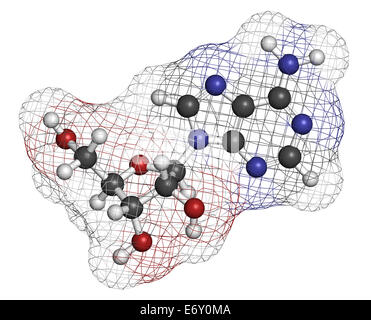L'adenosina (Ado) nucleoside di purina molecola. Componente importante di ATP, ADP, cAMP e RNA. Anche utilizzato come farmaco. Gli atomi sono di rappresentanza ha Foto Stock