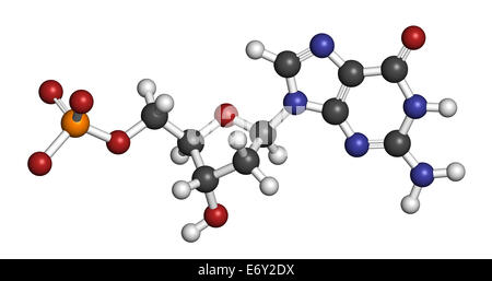 Deossiguanosina, guanin, guanina, dG, ribosio, deossiribosio, DNA, nucleoside, desossiribonucleico acido, nucleotide, fosfato, monoph Foto Stock