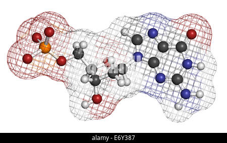 Deossiguanosina, guanin, guanina, dG, ribosio, deossiribosio, DNA, nucleoside, desossiribonucleico acido, nucleotide, fosfato, monoph Foto Stock
