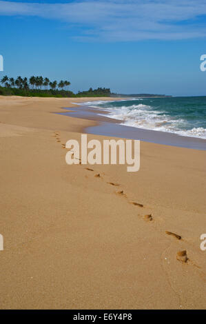 Orme nella sabbia lungo una lunga spiaggia deserta ad est di Tangalle, South Coast, Sri Lanka, Sud Asi Foto Stock