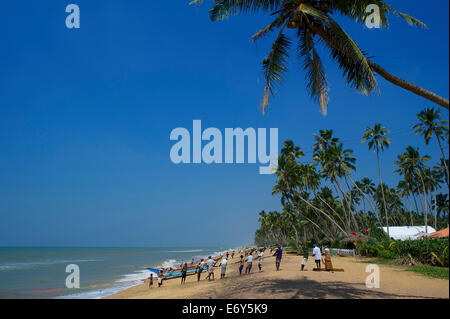 I pescatori portando nelle loro reti, barche da pesca e palme sulla spiaggia a Wadduwa, costa sudovest, Sri Lanka, Sud Asia Foto Stock