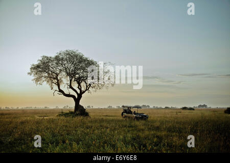 Game Drive su Duba Isola, Okavango Delta, Botswana, Africa Foto Stock