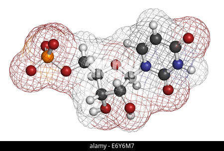 Uridina monofosfato (UMP, acido uridylic) Sequenza nucleotidica molecola. Blocchi di costruzione di RNA. Gli atomi sono rappresentati come sfere con aria cond Foto Stock