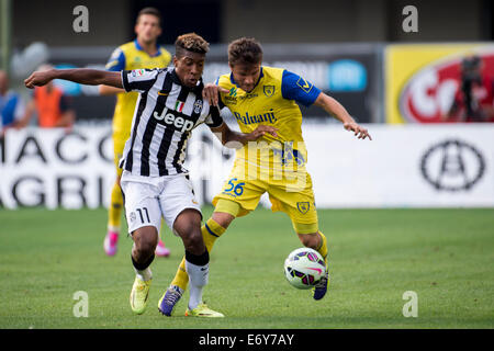 Kingsley Coman (Juventus), Perparim Hetemaj (Chievo), 30 agosto 2014 - Calcio : Italiano 'Serie A' match tra Chievo Verona 0-1 Juventus allo Stadio Marc'Antonio Bentegodi a Verona, Italia. (Foto di Maurizio Borsari/AFLO) Foto Stock