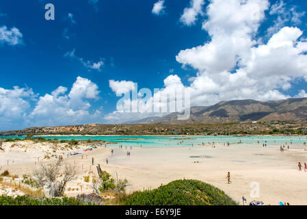 ELAFONISSI, Creta, Grecia - Luglio 24, 2014: turisti presso la famosa rosa alla spiaggia di sabbia di Elafonissi Elafonissi ( ) In Creta, Grecia Foto Stock