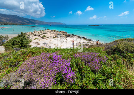 ELAFONISSI, Creta, Grecia - Luglio 24, 2014: turisti presso la famosa rosa alla spiaggia di sabbia di Elafonissi Elafonissi ( ) In Creta, Grecia Foto Stock